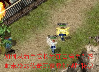 ��δ����ֳɳ�Ϊ�������֣���Ѫδ��Ĵ�����ҽ�����ʤ�ؾ�