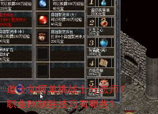 ��ʿ��ε���սʿ�뷨ʦ��ְҵPK��ʤ��������Щ��