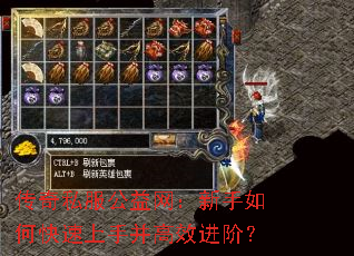 ����˽����������������ο������ֲ���Ч���ף�