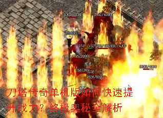 �������浥������ο�������ս�����ռ�����ȫ����