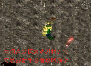 ��θ�Ч̽���߽�壿����˽�����ֱؿ����Խ���
