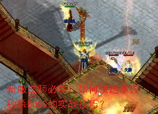 �·���ʦ�ؿ�����ο���������ɱBOSS��ʵս���ɣ�