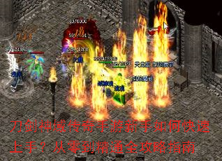 ��������������������ο������֣����㵽��ͨȫ����ָ��