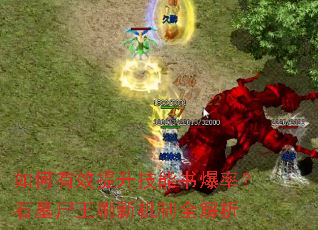 如何有效提升技能书爆率?石墓尸王刷新机制全解析 如何有效提升技能书爆率?石墓尸王刷新机制全解析