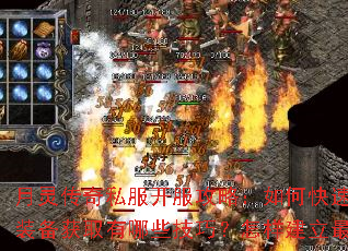 ���鴫��˽���������ԣ���ο��������ȼ���װ����ȡ����Щ���ɣ�����������ǿ�л᣿