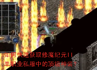 ��ο��ٻ�ȡ��ħ��ԪII��ְҵ˽���еĶ�����װ��