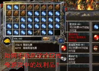 ����ֶ���Чʰȡ������Ϸ�е�ս��Ʒ��