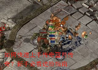 ��ο������ִ������´��棿���ֱؿ�����ָ��
