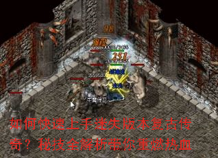 ��ο���������ʧ�汾���Ŵ��棿�ؼ�ȫ����������ȼ��Ѫ