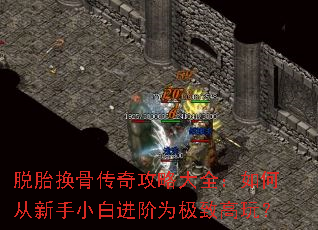 脱胎换骨传奇攻略大全:如何从新手小白进阶为极致高玩? 脱胎换骨传奇攻略大全:如何从新手小白进阶为极致高玩?