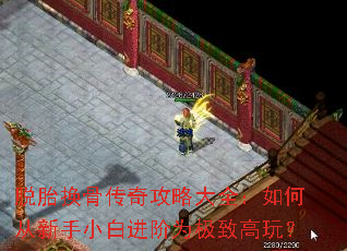 脱胎换骨传奇攻略大全:如何从新手小白进阶为极致高玩? 脱胎换骨传奇攻略大全:如何从新手小白进阶为极致高玩?
