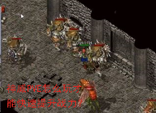 ����PVE��ô����ܿ�������ս����