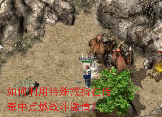 如何利用特殊戒指在传奇中点燃战斗激情? 如何利用特殊戒指在传奇中点燃战斗激情?
