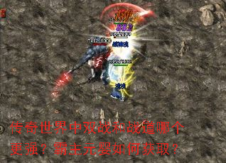 传奇世界中双战和战道哪个更强?霸主元婴如何获取? 传奇世界中双战和战道哪个更强?霸主元婴如何获取?