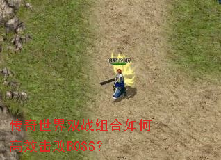 ��������˫ս�����θ�Ч����BOSS��