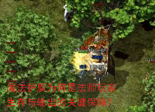 魔法护盾为何是法师玩家生存与输出的关键保障? 魔法护盾为何是法师玩家生存与输出的关键保障?