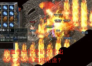 ��Ѫ�����������ڳ��Ŀ�ʯ�����к���;��