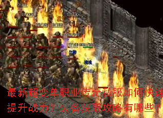 ���³��䵥ְҵ����˽����ο�������ս����װ����ȡ��������Щ��