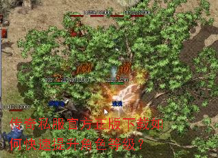 传奇私服官方正版下载如何快速提升角色等级? 传奇私服官方正版下载如何快速提升角色等级?