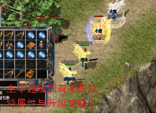 ���׳��ӵ����Щ�����������������ԣ�