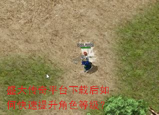 盛大传奇平台下载后如何快速提升角色等级? 盛大传奇平台下载后如何快速提升角色等级?
