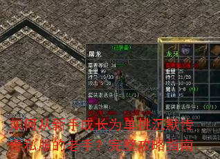 如何从新手成长为单挑沉默传奇私服的老手?完整攻略指南 如何从新手成长为单挑沉默传奇私服的老手?完整攻略指南