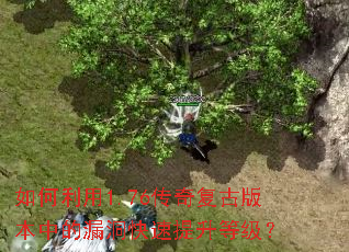 �������1.76���渴�Ű汾�е�©�����������ȼ���