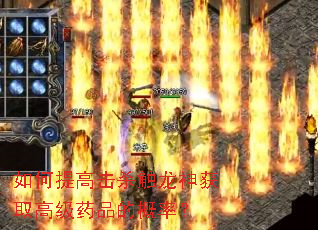 如何提高击杀触龙神获取高级药品的概率? 如何提高击杀触龙神获取高级药品的概率?