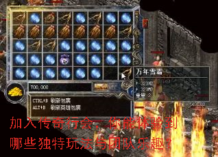 加入传奇行会,你能体验到哪些独特玩法与团队乐趣? 加入传奇行会,你能体验到哪些独特玩法与团队乐趣?