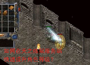 如何在天之炼狱服务端快速提升角色等级? 如何在天之炼狱服务端快速提升角色等级?