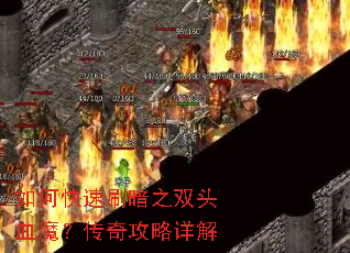 ��ο���ˢ��֮˫ͷѪħ�����湥�����