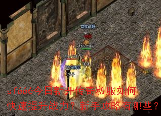 sf666今日新开传奇私服如何快速提升战力?新手攻略有哪些? sf666今日新开传奇私服如何快速提升战力?新手攻略有哪些?
