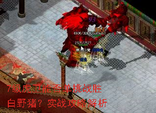 7级虎卫能否单挑战胜白野猪?实战攻略解析 7级虎卫能否单挑战胜白野猪?实战攻略解析