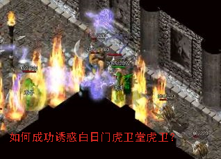 ��γɹ��ջ�����Ż����û�����