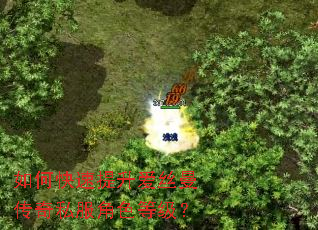 如何快速提升爱丝曼传奇私服角色等级? 如何快速提升爱丝曼传奇私服角色等级?