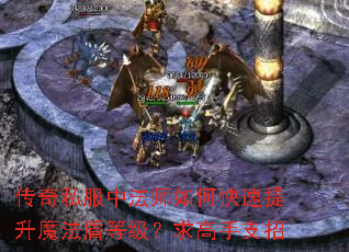 传奇私服中法师如何快速提升魔法盾等级?求高手支招 传奇私服中法师如何快速提升魔法盾等级?求高手支招