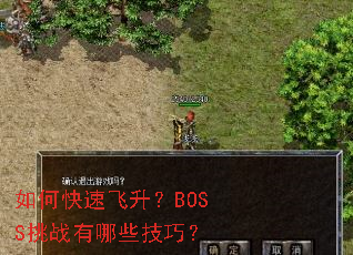 如何快速飞升?BOSS挑战有哪些技巧? 如何快速飞升?BOSS挑战有哪些技巧?