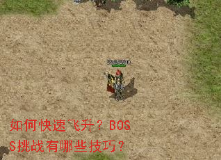 如何快速飞升?BOSS挑战有哪些技巧? 如何快速飞升?BOSS挑战有哪些技巧?