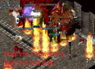 热血传奇手机版精英怪刷新时间如何掌握? 热血传奇手机版精英怪刷新时间如何掌握?
