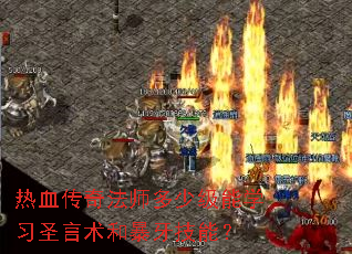 ��Ѫ���淨ʦ���ټ���ѧϰʥ�����ͱ������ܣ�