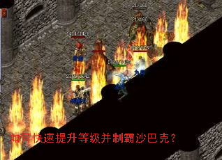 如何快速提升等级并制霸沙巴克? 如何快速提升等级并制霸沙巴克?