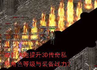 ��ο�������3D����˽����ɫ�ȼ���װ��ս����