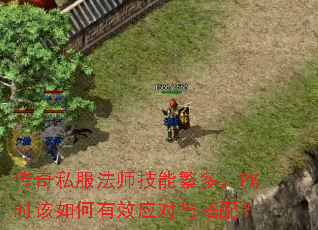 ����˽����ʦ���ܷ��࣬PKʱ�������ЧӦ������䣿