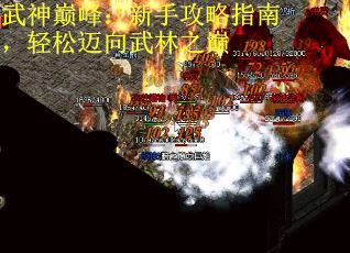 武神巅峰：新手攻略指南，轻松迈向武林之巅